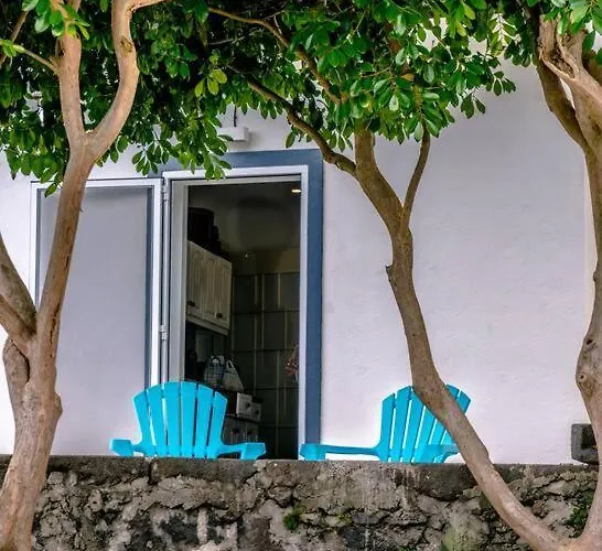 Center, 200 Meters To Marina, Walk To Everything, Private Yard And Garden * Ponta Delgada