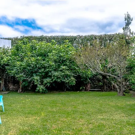 Center, 200 Meters To Marina, Walk To Everything, Private Yard And Garden Holiday home