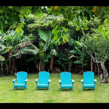 Holiday home Center, 200 Meters To Marina, Walk To Everything, Private Yard And Garden