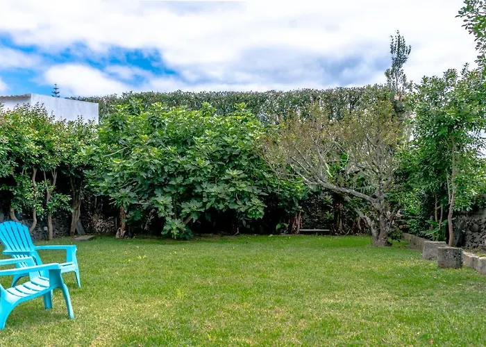 Center, 200 Meters To Marina, Walk To Everything, Private Yard And Garden Feriehus